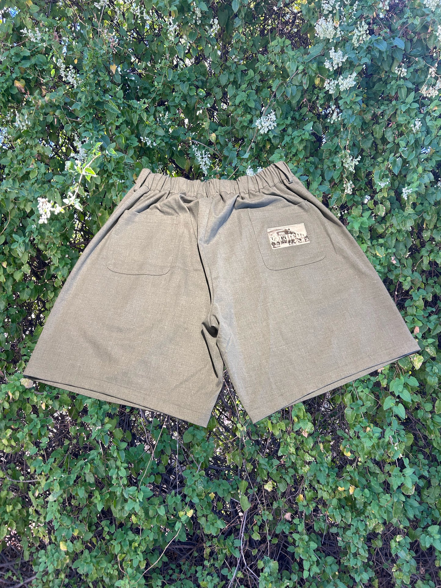 Grajeda Pleated Shorts.